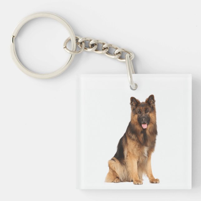 Schäferhund, wrap rakt  design,  (Framsidan)