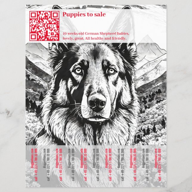 Schäferhunds Flyer (Framsidan)