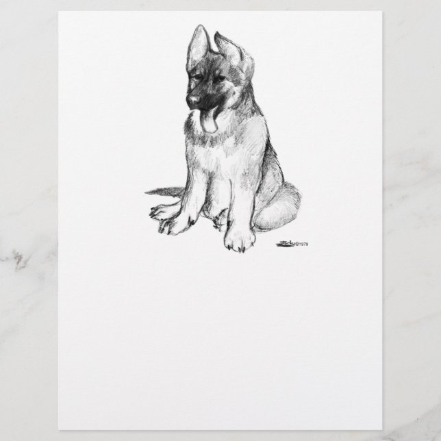 Schäferhundvalp Reklamblad (Framsidan)