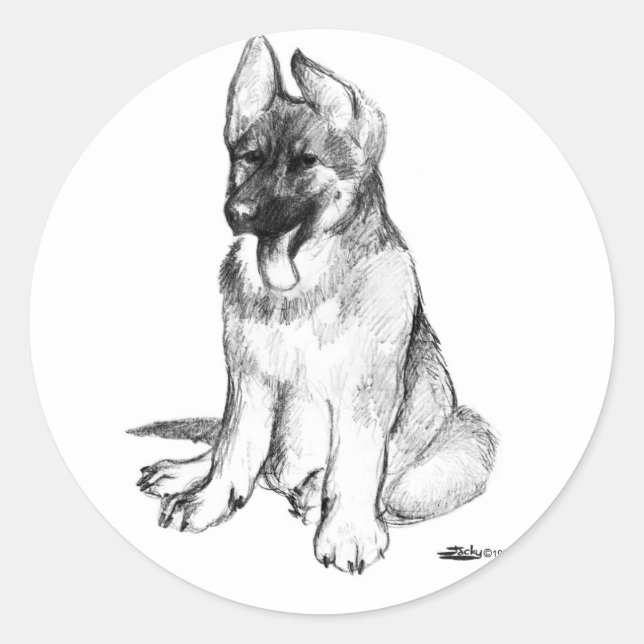 Schäferhundvalp Runt Klistermärke (Framsida)
