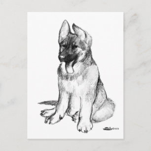 Schäferhundvalp Vykort