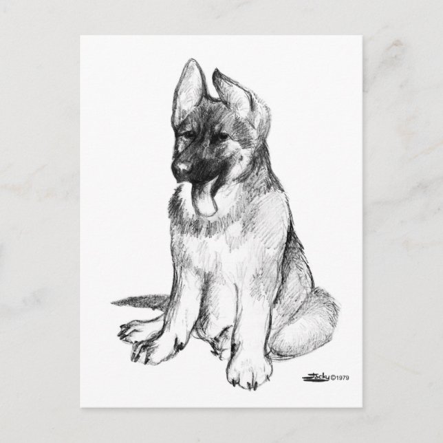 Schäferhundvalp Vykort (Framsida)