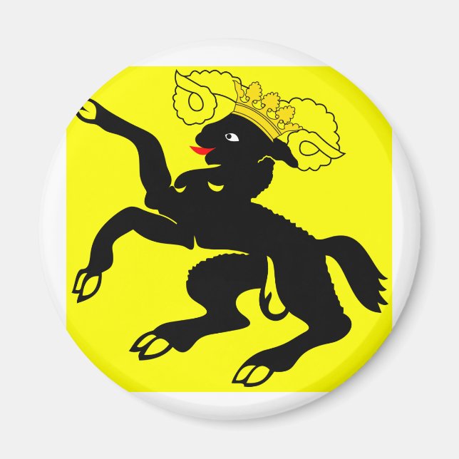 Schaffhausen, Schweiz Magnet (Framsidan)