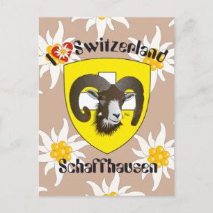 Schaffhausen Schweiz Postkarte Vykort