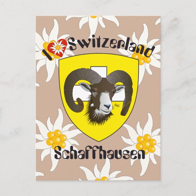 Schaffhausen Schweiz Postkarte Vykort (Framsida)