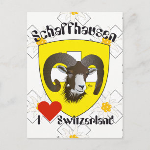 Schaffhausen Schweiz Postkarte Vykort