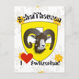 Schaffhausen Schweiz Postkarte Vykort