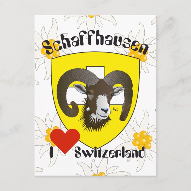 Schaffhausen Schweiz Postkarte Vykort (Framsida)