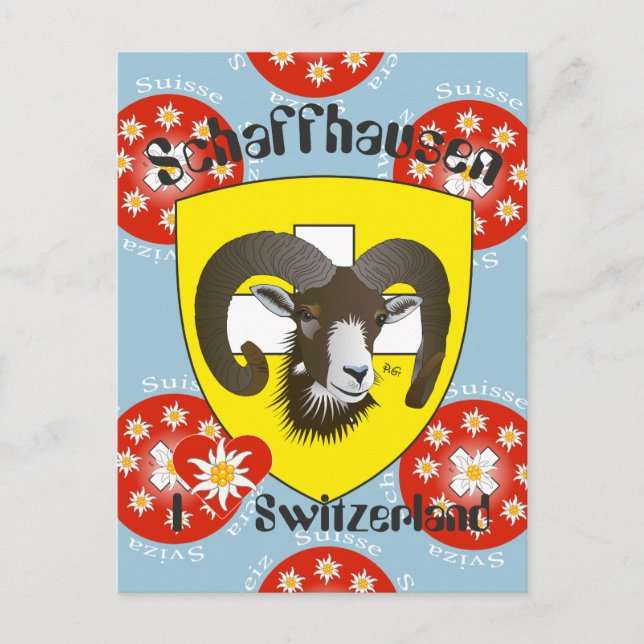 Schaffhausen Schweiz Postkarte Vykort (Framsida)