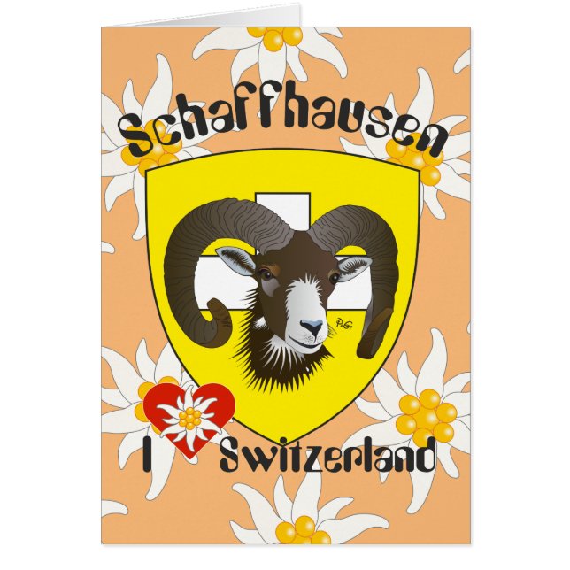 Schaffhausen Schweiz Suisse Svizzera Grusskarte Hälsningskort (Framsidan)