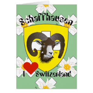 Schaffhausen Schweiz Suisse Svizzera Grusskarte Hälsningskort