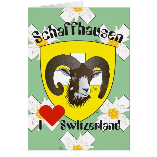 Schaffhausen Schweiz Suisse Svizzera Grusskarte Hälsningskort (Framsidan)