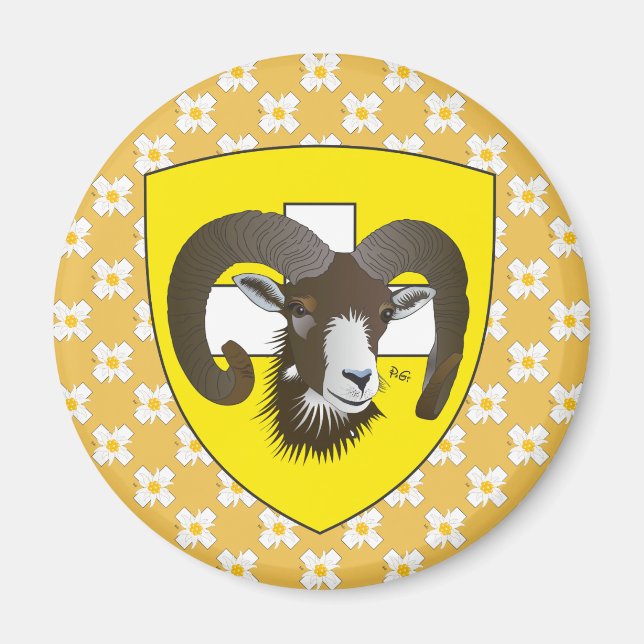 Schaffhausen - Schweiz - Suisse - Svizzera Magnet (Framsidan)
