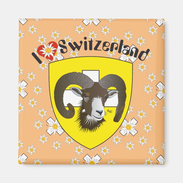 Schaffhausen - Schweiz - Suisse - Svizzera Magnet (Framsidan)