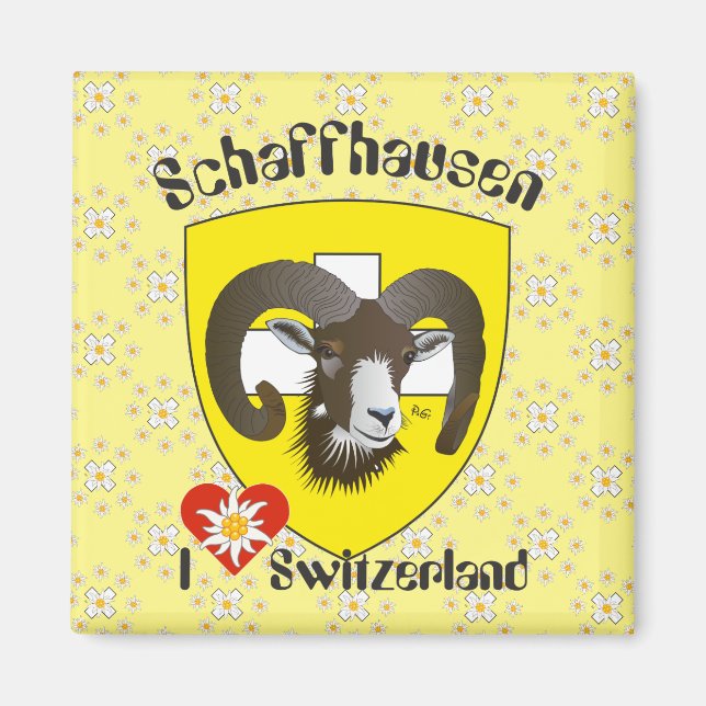 Schaffhausen - Schweiz - Suisse - Svizzera Magnet (Framsidan)