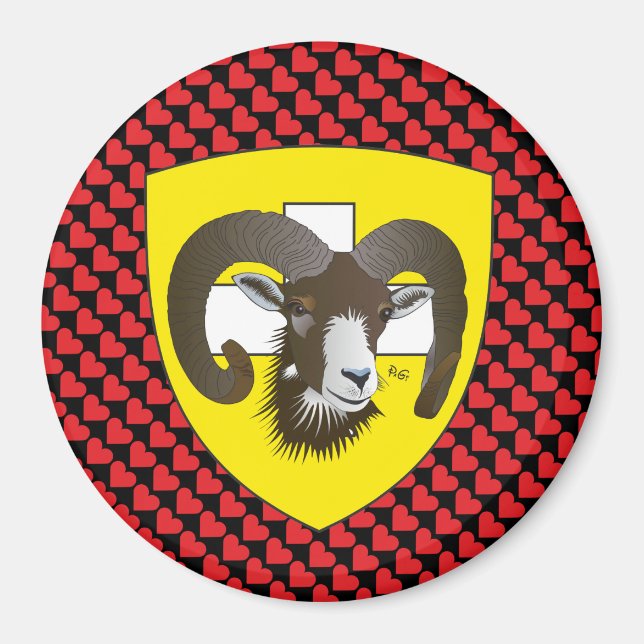Schaffhausen - Schweiz - Suisse - Svizzera Magnet (Framsidan)