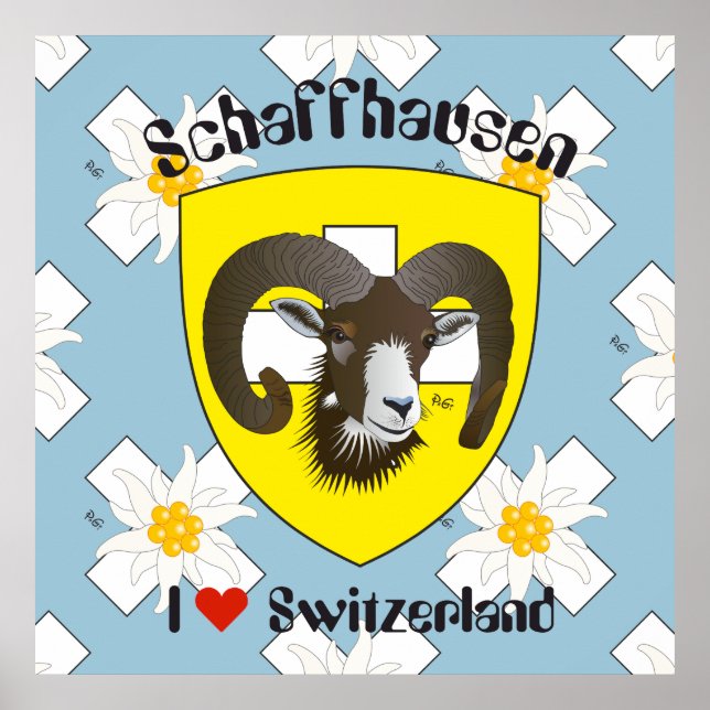Schaffhausen - Schweiz - Suisse - Svizzera Poster (Framsidan)