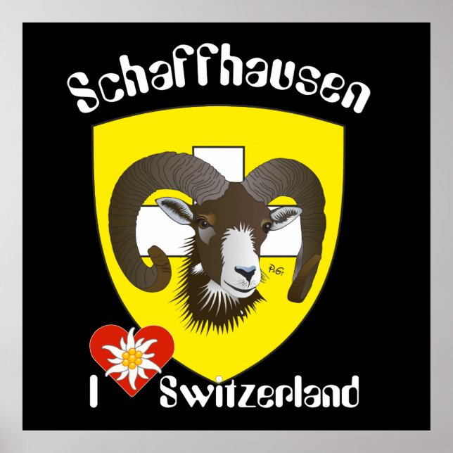Schaffhausen - Schweiz - Suisse - Svizzera Poster (Framsidan)