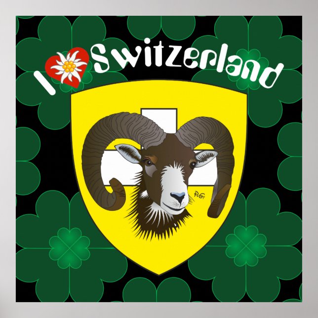 Schaffhausen - Schweiz - Suisse - Svizzera Poster (Framsidan)