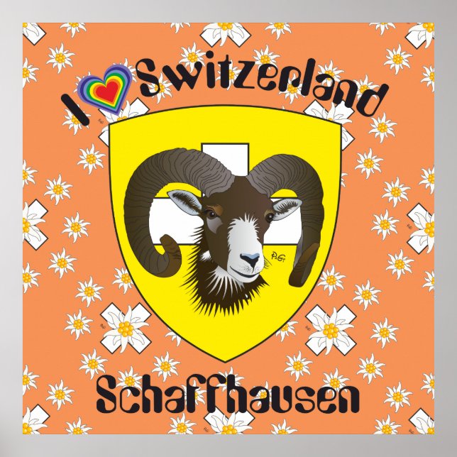 Schaffhausen - Schweiz - Suisse - Svizzera Poster (Framsidan)