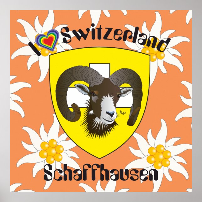 Schaffhausen - Schweiz - Suisse - Svizzera Poster (Framsidan)