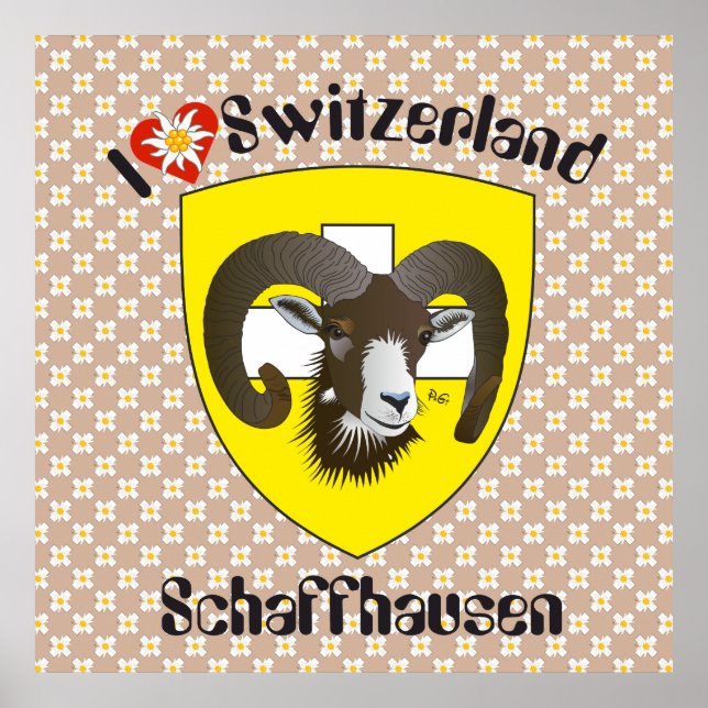 Schaffhausen - Schweiz - Suisse - Svizzera Poster (Framsidan)