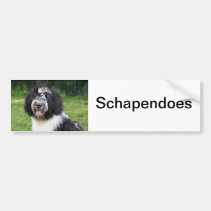 schapendoes bildekal