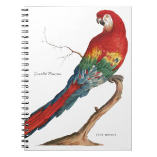 Scharlakansröd Macaw, Ara macao Anteckningsbok