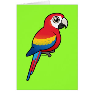 Scharlakansröd Macaw OBS Kort