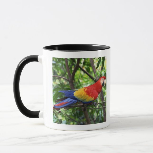 Scharlakansröd macaw på trädlimben mugg (Vänster)