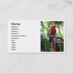 Scharlakansröd macaw, röd macawphotograpdesign visitkort