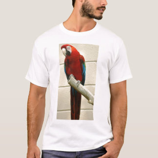 Scharlakansröd Macaw Tee Shirt