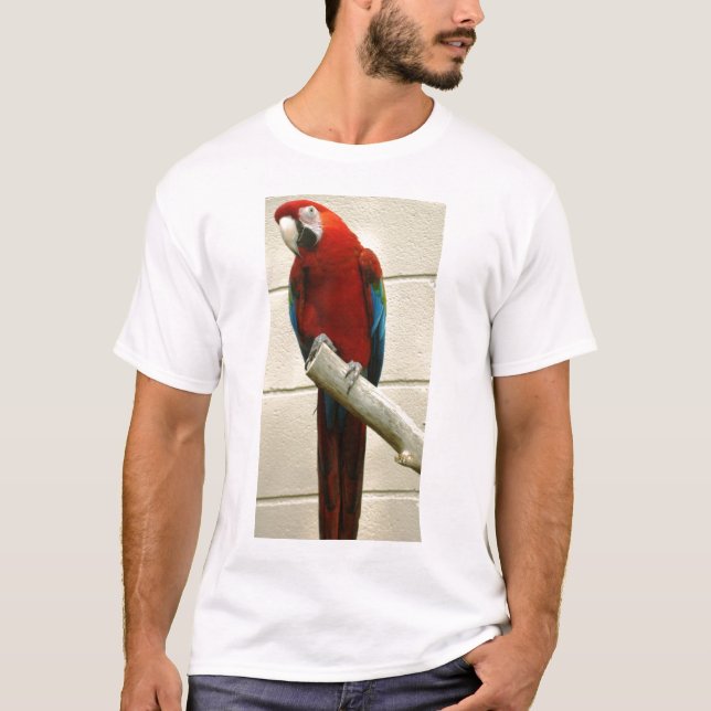 Scharlakansröd Macaw Tee Shirt (Framsida)