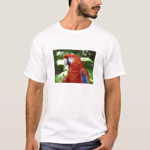Scharlakansröd Macaw Tröja