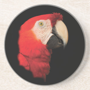 scharlakansröd macaw underlägg sandsten