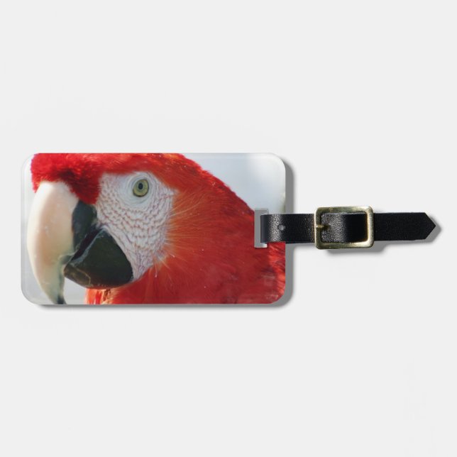 Scharlakansröd Macawbagagemärkre Bagagebricka (Horisontell Framsida)
