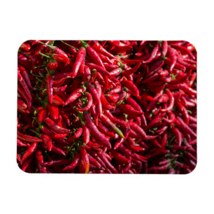 Scharp röd chili i staden Kalocsa Magnet