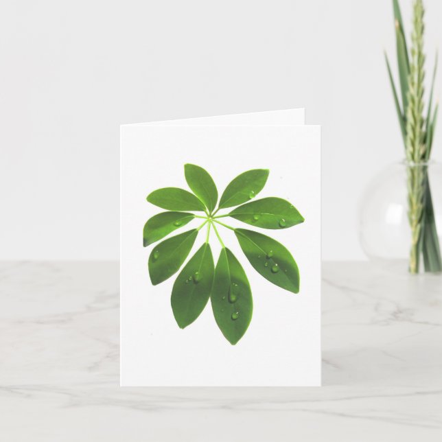 Schefflera-anteckningskort Kort (Framsida)