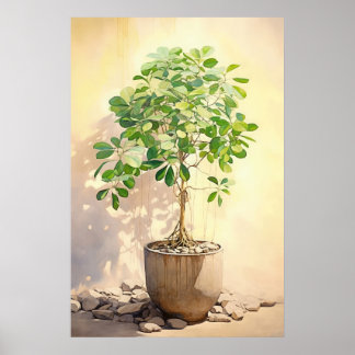 Schefflera Heptaphylla i Pot Poster