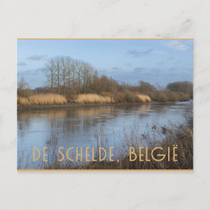 Scheldt View, Dendermonde, Belgien Vykort