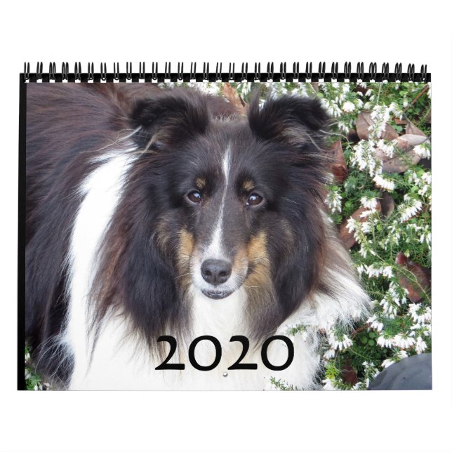 Schemaläggning av inkapsling kalender (Omslag)