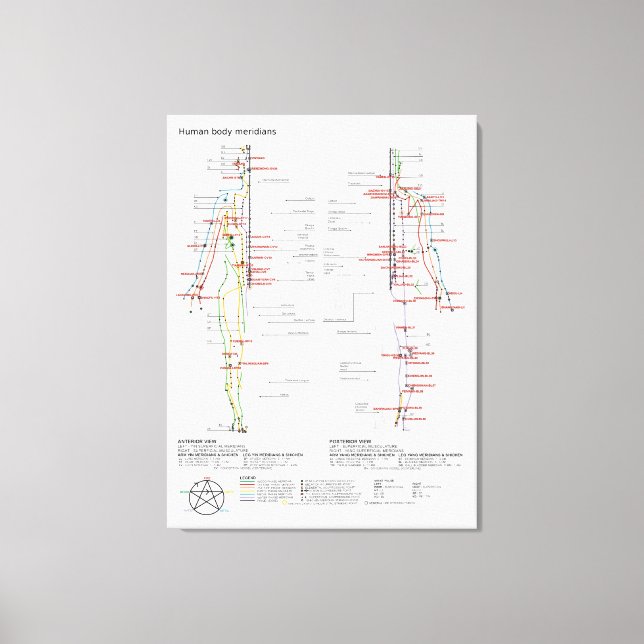 Schematisk karta kinesiska människo kroppsmeridian canvastryck (Framsida)