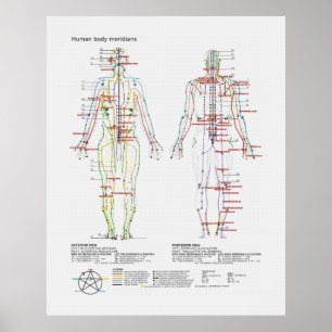 Schematiskt schema över kinesiska eller mänskliga  poster