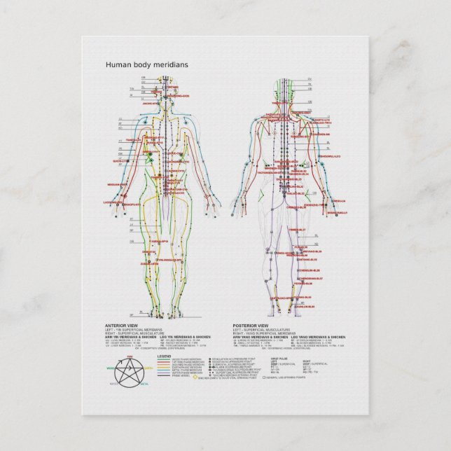 Schematiskt schema över kinesiska eller mänskliga  vykort (Framsida)