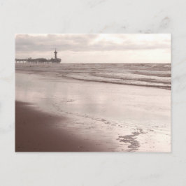 Scheveningen Dier i Dusk Vykort