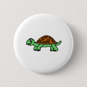 Schildkröte Lustig Knapp