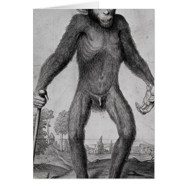 Schimpans 1699 hälsningskort (Framsidan)