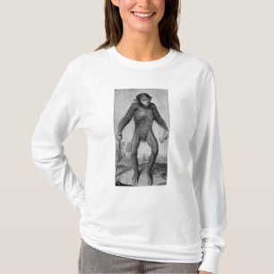 Schimpans 1699 t shirt