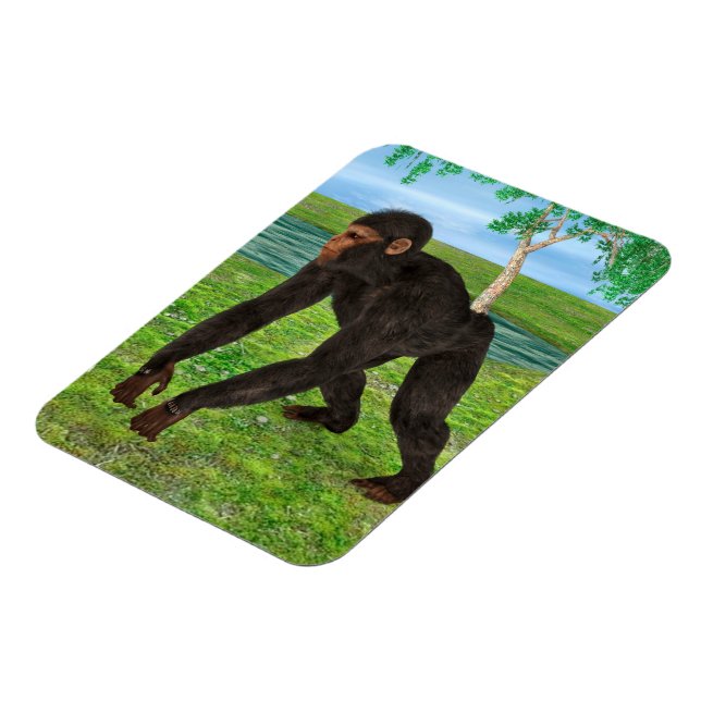 Schimpans Magnet (Vänstra Sidan)