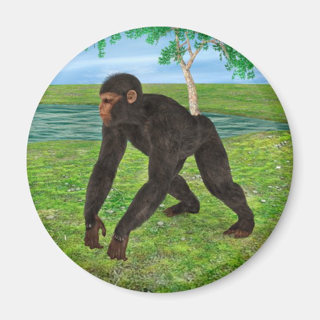 Schimpans Magnet (Framsidan)